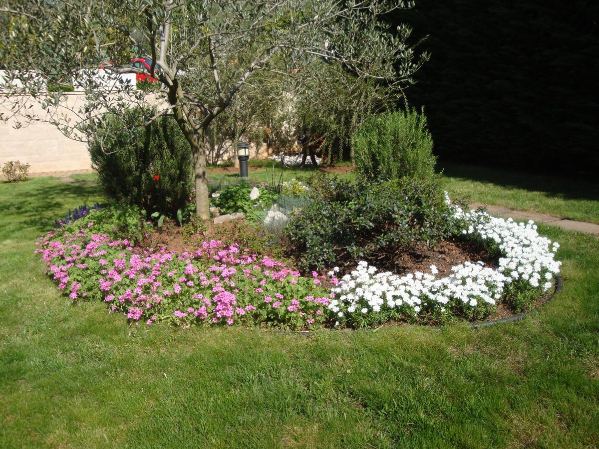 Apartments Mogorovic Mošćenička Draga Dış mekan fotoğraf